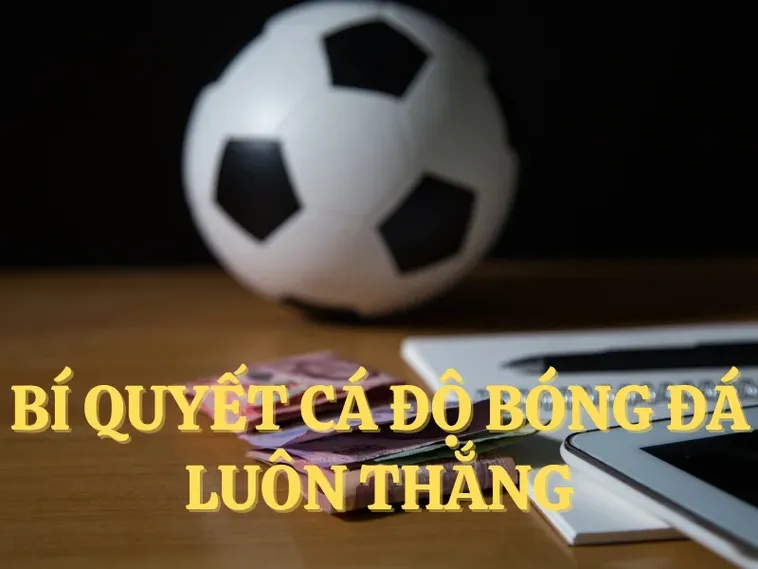 Tìm Hiểu Cá Cược Bóng Đá W88: Hướng Dẫn Chi Tiết Cho Người Mới